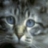 Benutzeravatar