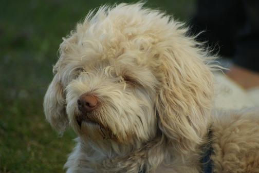 ist daaaaas langweilig