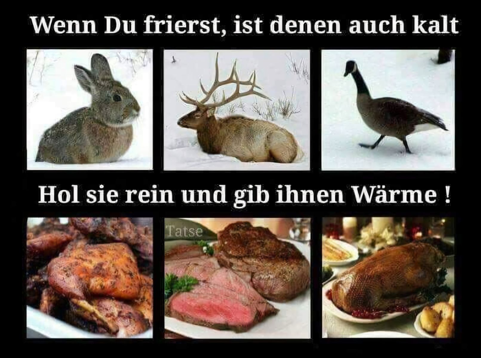 38.jpg